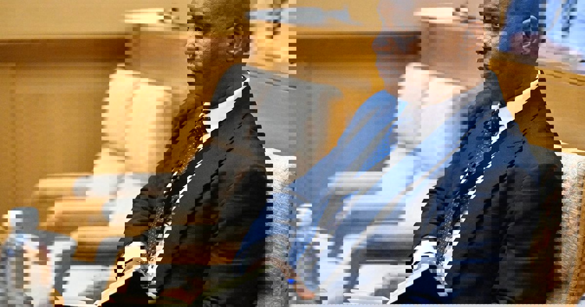 Nkabinde tells MPs he only met Mogotsi once