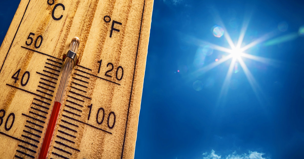 Cape Town appoints 1st-ever 'Chief Heat Officer' to mitigate impact of climate change