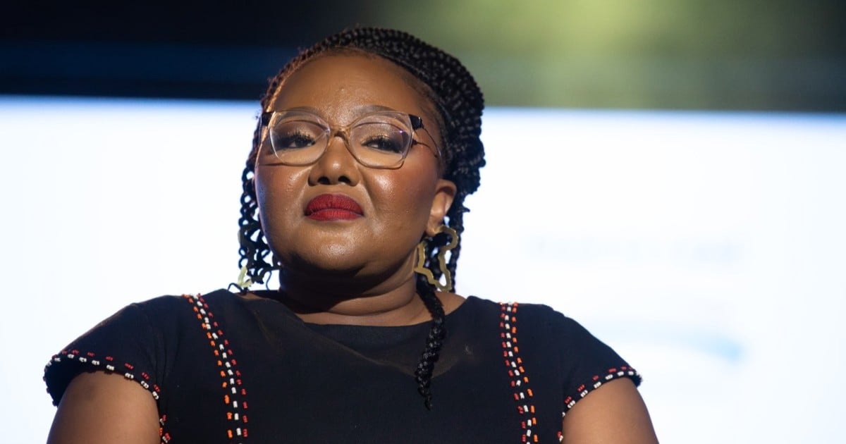 South Africans must end myth that 30% is a pass rate, says Gwarube