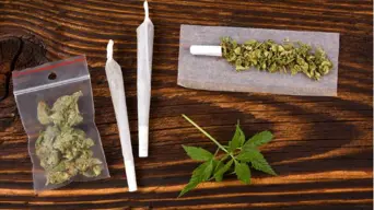 Govt to withdraw law banning sale of cannabis & hemp products to allow for public participation process Govt to withdraw law banning sale of cannabis & hemp products to allow for public participation process