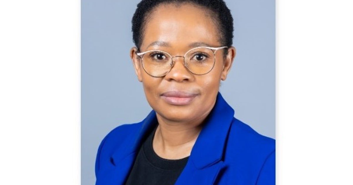 Newly acting PIC CEO Batandwa Damoyi tasked with ensuring leadership ...