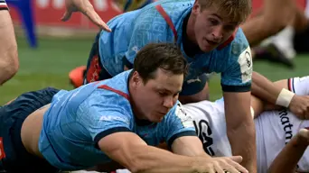 SA Rugby defends Bulls' Champions Cup travel plans after White criticism SA Rugby defends Bulls' Champions Cup travel plans after White criticism