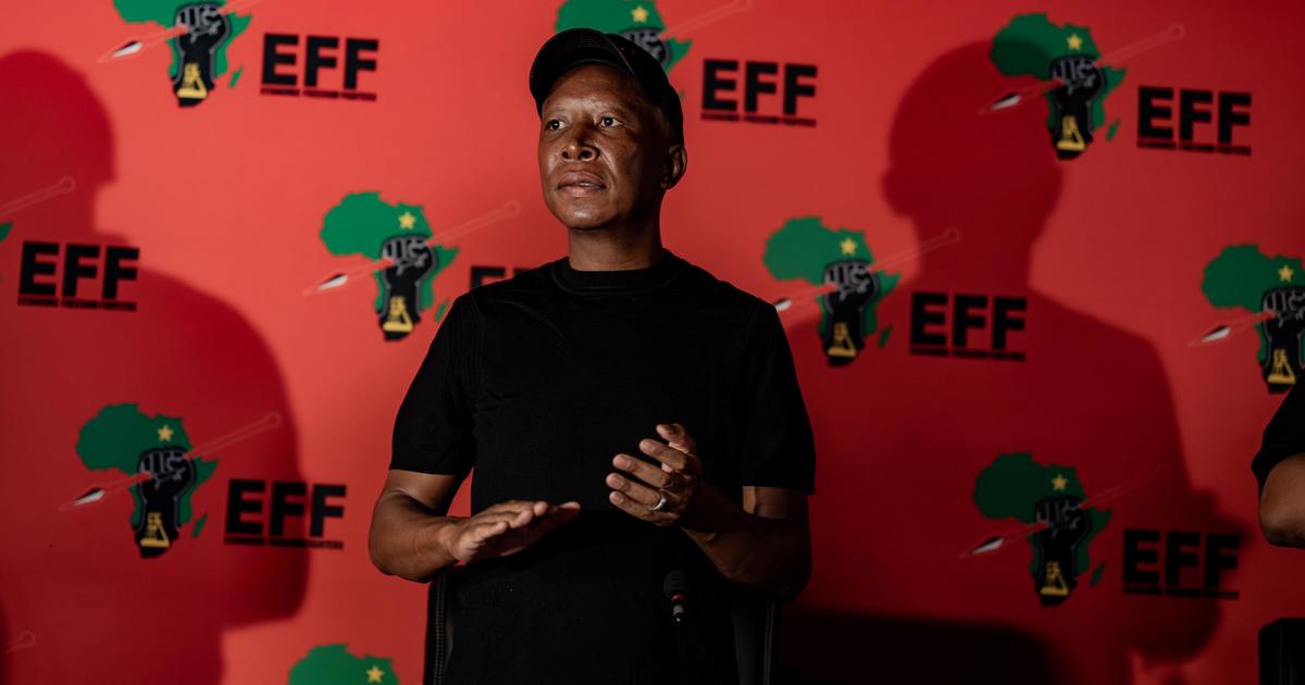 EFF writes to Ramaphosa calling for establishment of inquiry into state of ...