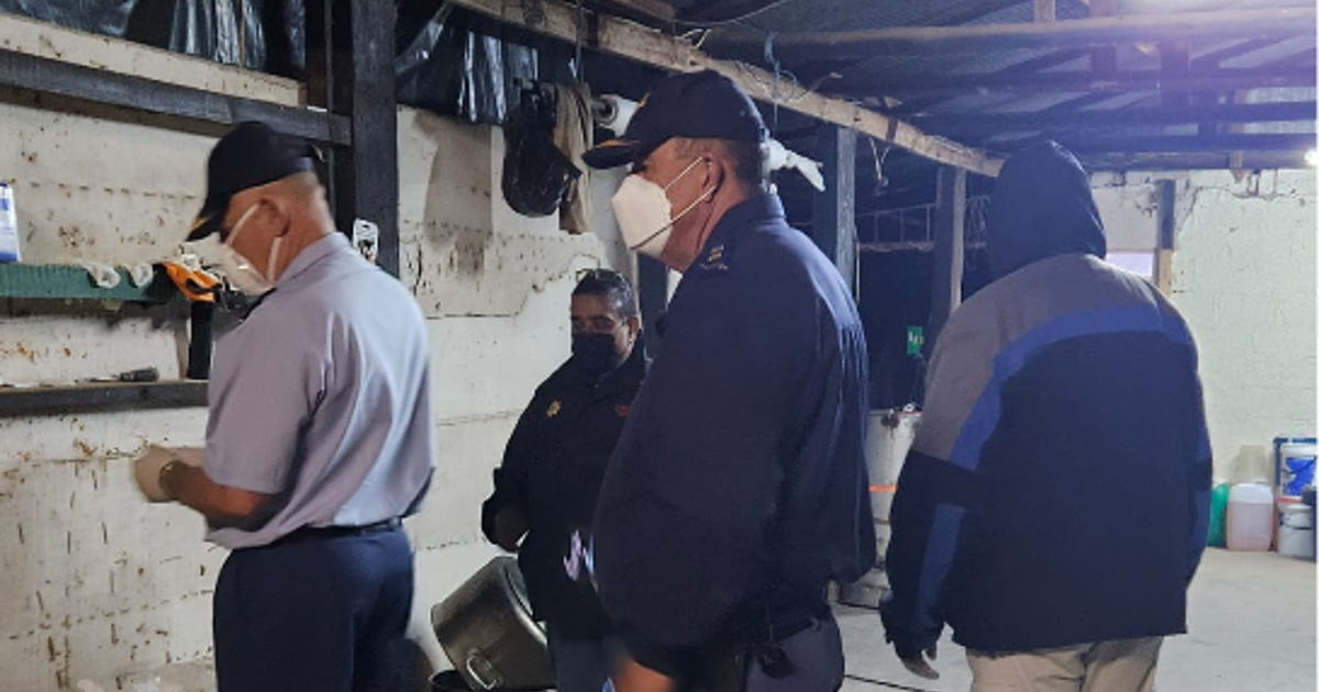Hawks nab 5 suspects linked to R600m Limpopo drug bust