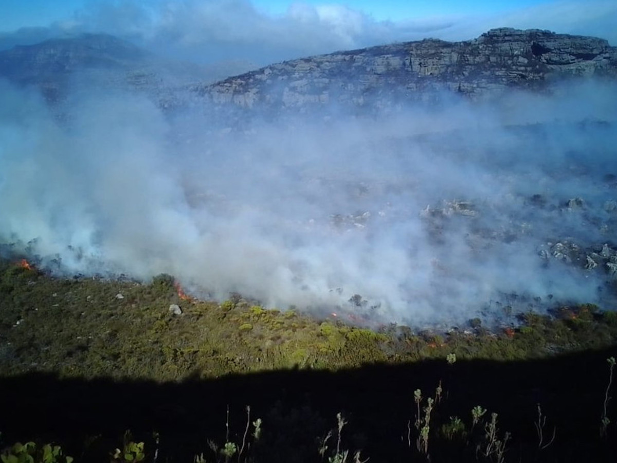 Firefighters hope cooler weather aids efforts to extinguish Table Mountain fire - Vimarsana News