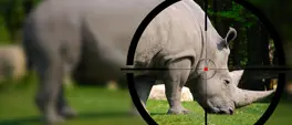 Padel for Hope: Help save 50-million-year-old rhino from extinction Padel for Hope: Help save 50-million-year-old rhino from extinction