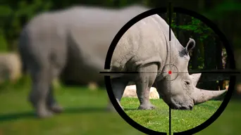 Padel for Hope: Help save 50-million-year-old rhino from extinction Padel for Hope: Help save 50-million-year-old rhino from extinction