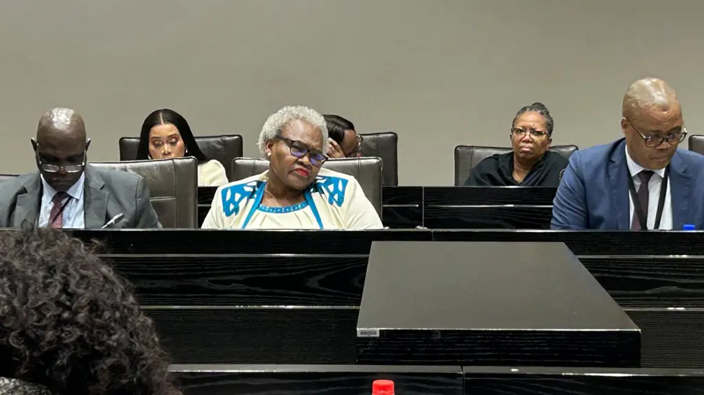 DA's Hill-Lewis urges Ramaphosa to fire Social Development Minister Tolashe