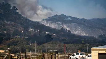 Overstrand wildfire sparks wave of tourism cancellations Overstrand wildfire sparks wave of tourism cancellations