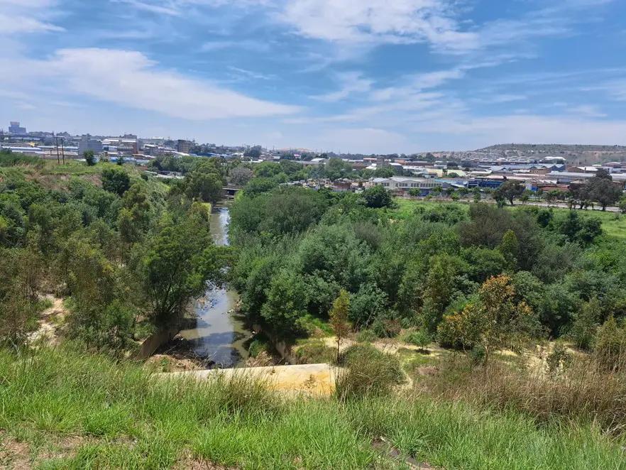Before the discovery of gold in 1886, the area south of Johannesburg was associated with water. There were dozens of springs, streams, wetlands and aquifers, but in time many of these water sources have been paved over, canalised, lost, or forgotten. Picture: Sean Christie/GroundUp Before the discovery of gold in 1886, the area south of Johannesburg was associated with water. There were dozens of springs, streams, wetlands and aquifers, but in time many of these water sources have been paved over, canalised, lost, or forgotten. Picture: Sean Christie/GroundUp