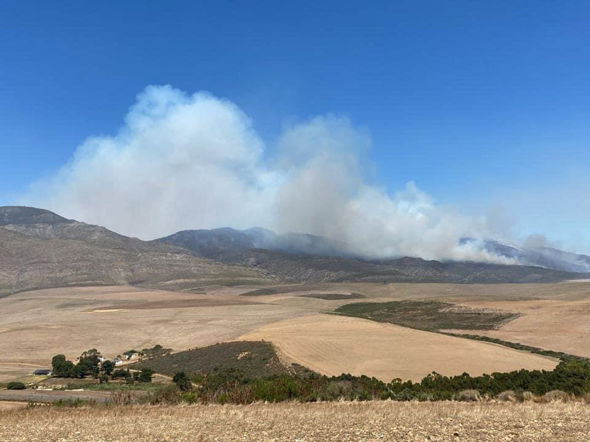 Caledon landowners near Klein Swartberg mountain warned to be on high alert as fire approaches - Vimarsana News