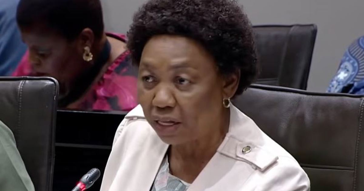 Defence minister says SANDF deployment not a permanent fix for gang violence