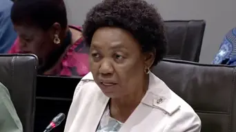 Defence minister says SANDF deployment not a permanent fix for gang violence Defence minister says SANDF deployment not a permanent fix for gang violence