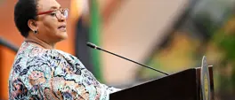 Thoko Didiza rejects 'fit and proper' requirement for Phala Phala committee MPs Thoko Didiza rejects 'fit and proper' requirement for Phala Phala committee MPs