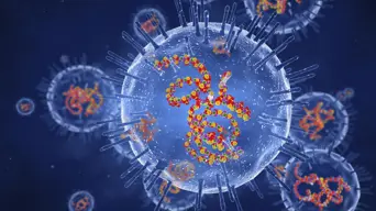 WC Health pins falling immunisation rates among kids on disease outbreaks WC Health pins falling immunisation rates among kids on disease outbreaks