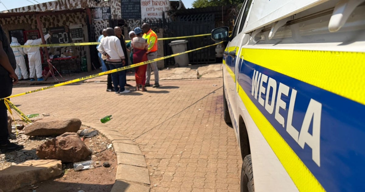 Expert blames proliferation of firearms on SA's porous borders - EWN