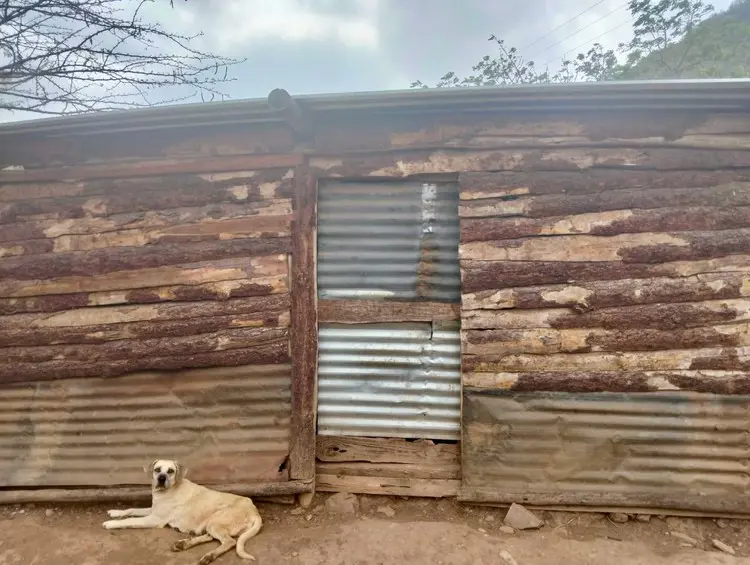 The camp was constructed with what the community could find, including wood, canvas and corrugated iron. Picture: @GroundUp News The camp was constructed with what the community could find, including wood, canvas and corrugated iron. Picture: @GroundUp News