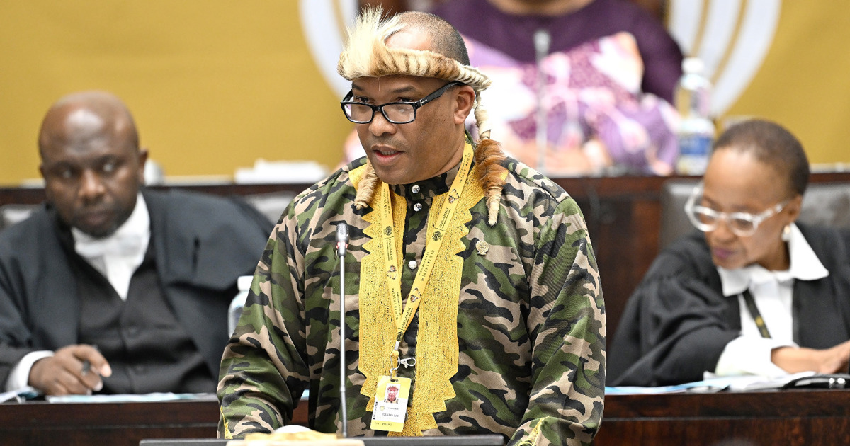 Political parties slam underfunding of SANDF, say this puts SA's security ...