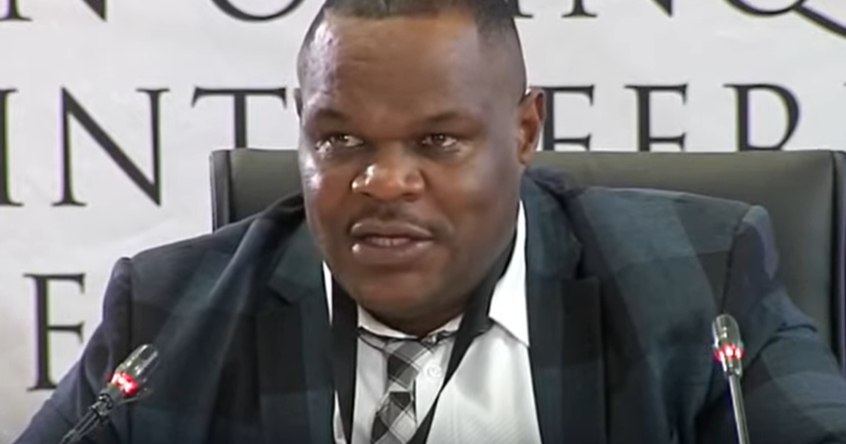 Nkosi’s home once raided in search of Matlala’s credit card, Madlanga Commission told