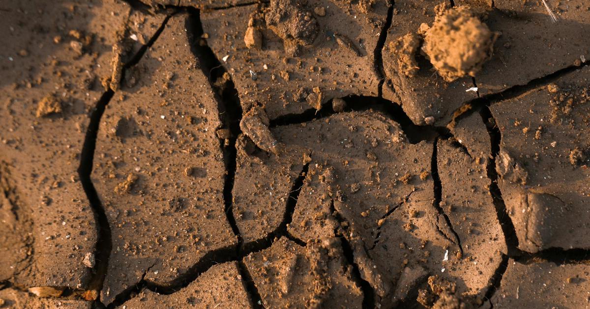 Still scarred by ‘Day Zero’, Cape Town anxiously eyes plummeting dam levels