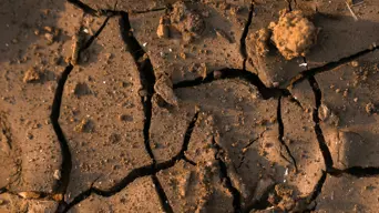 Still scarred by ‘Day Zero’, Cape Town anxiously eyes plummeting dam levels Still scarred by ‘Day Zero’, Cape Town anxiously eyes plummeting dam levels