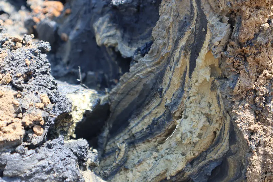 The Valley Silts Project seeks to excavate and process gold-bearing silts from the river valleys south of Johannesburg, which have become clotted with gold-rich silt in the course of a century of intensive gold mining. Picture: Sean Christie/GroundUp The Valley Silts Project seeks to excavate and process gold-bearing silts from the river valleys south of Johannesburg, which have become clotted with gold-rich silt in the course of a century of intensive gold mining. Picture: Sean Christie/GroundUp