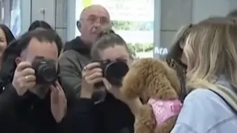 Greek pet owners get special flight out of Middle East Greek pet owners get special flight out of Middle East