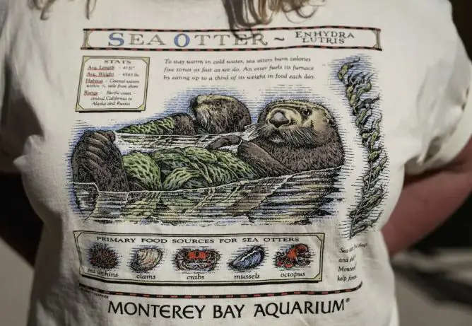 Image: X, screengrab Image: X, screengrab