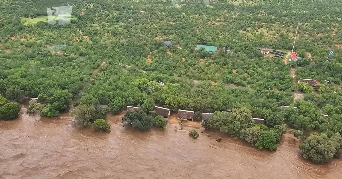 Environment Dept to reprioritise fund to help restore Kruger National Park