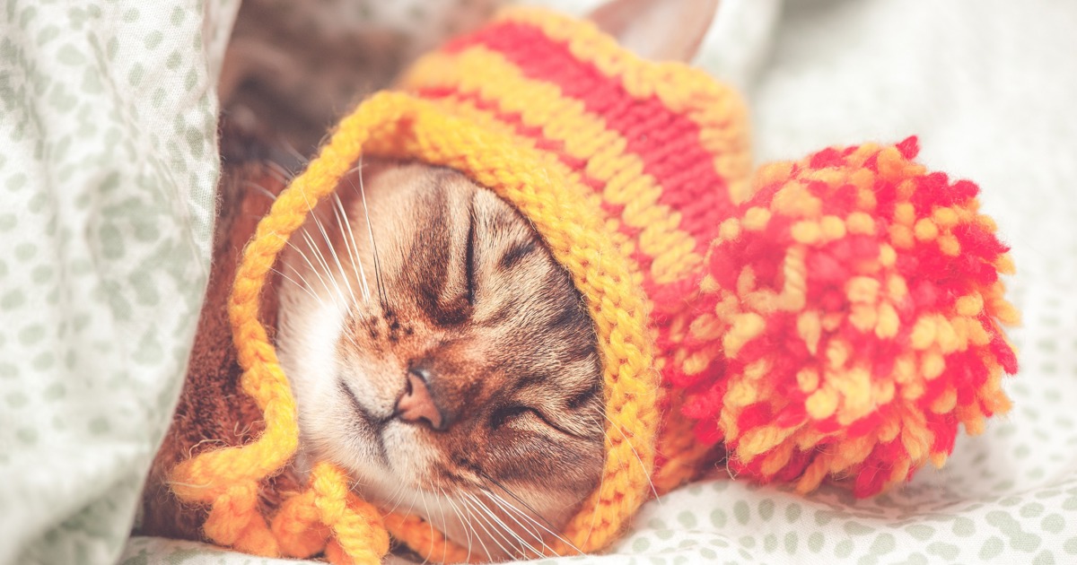WEATHER: Expect an ice-cold Gauteng on Wednesday, Cape Town faces strong wind and showers