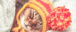 WEATHER: Expect an ice-cold Gauteng on Wednesday, Cape Town faces strong winds and showers WEATHER: Expect an ice-cold Gauteng on Wednesday, Cape Town faces strong winds and showers