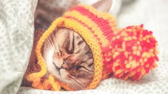 WEATHER: Expect an ice-cold Gauteng on Wednesday, Cape Town faces strong winds and showers WEATHER: Expect an ice-cold Gauteng on Wednesday, Cape Town faces strong winds and showers