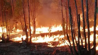 Kluitjieskraal fire contained Kluitjieskraal fire contained