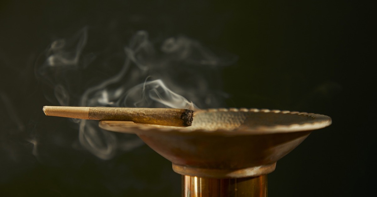 R5 million worth of cannabis seized in joint law enforcement operation