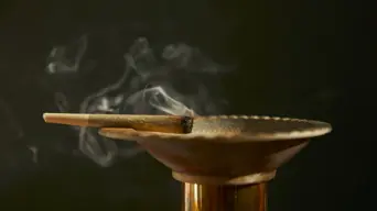 R5 million worth of cannabis seized in joint law enforcement operation R5 million worth of cannabis seized in joint law enforcement operation