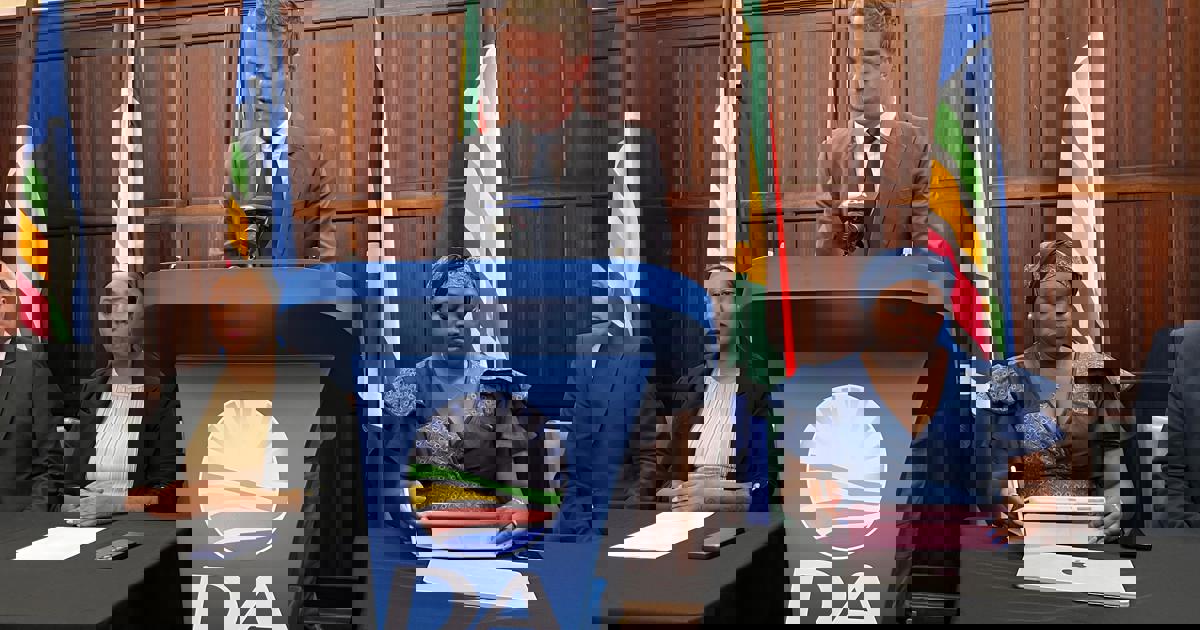 Expanding DA donor base important for growth, says new finance committee ...