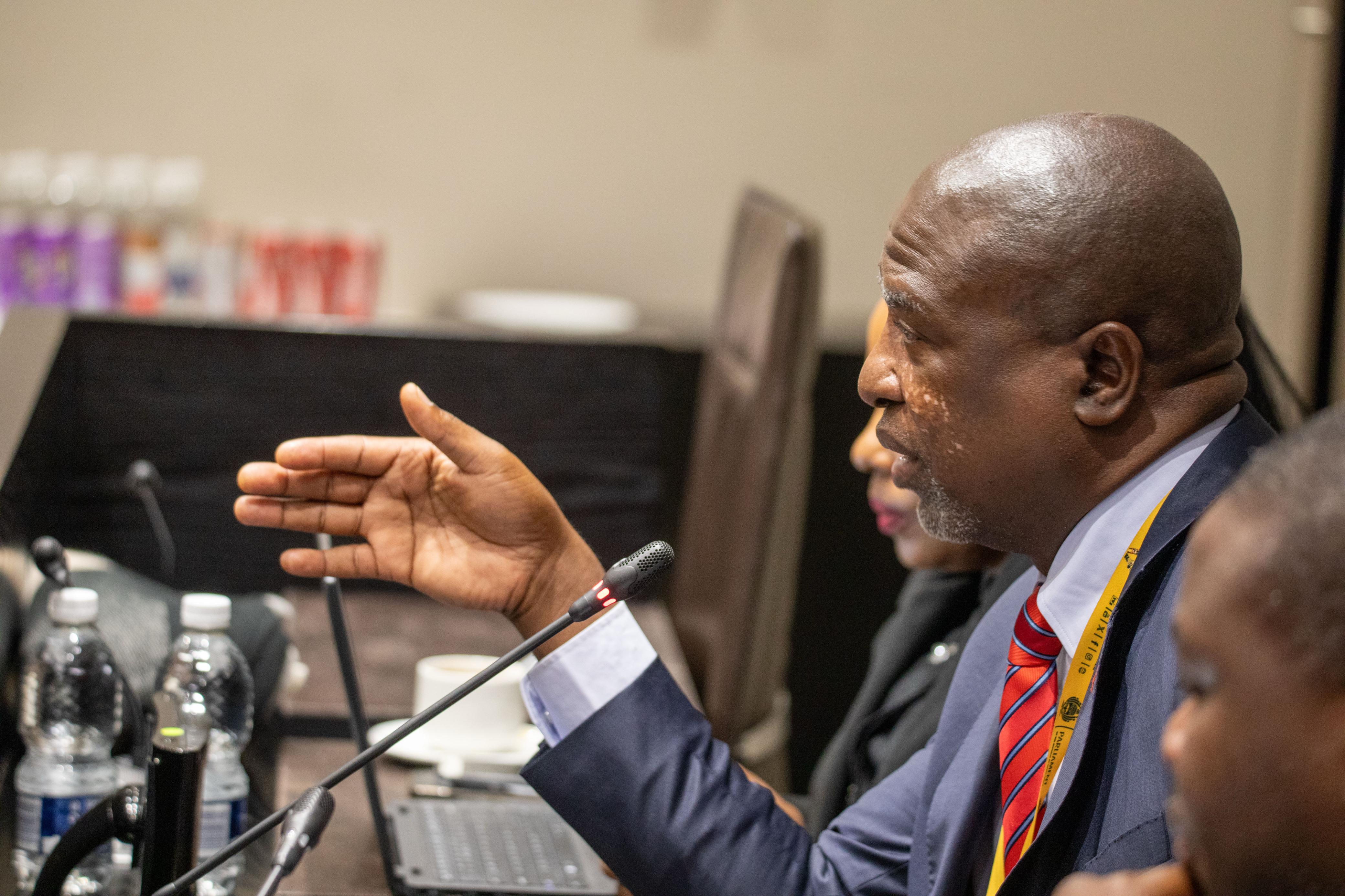 Parly says can't offer extra security to Mogotsi before ad hoc committee appearance