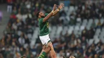Debutant Tshituka scores twice as Springboks crush BaaBaas Debutant Tshituka scores twice as Springboks crush BaaBaas