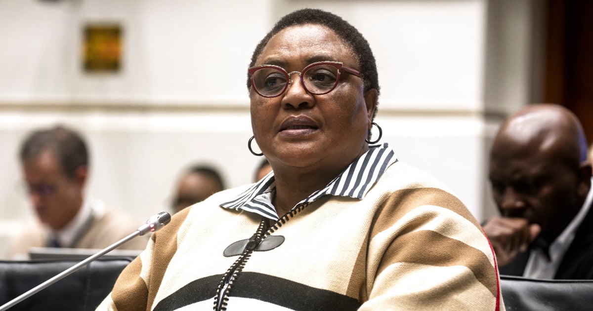 EFF says no-confidence vote in Didiza proceedings ‘embarrassing' for Parliament