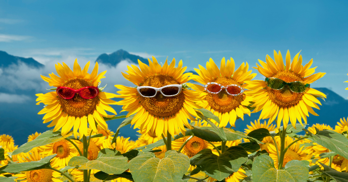 WEEKEND WEATHER: Gauteng basks in warm winter sunshine, Cape Town braces for rain and cold