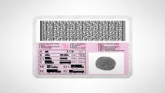 Expired driver’s licence cards get three-month grace period Expired driver’s licence cards get three-month grace period