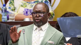 Godongwana: Delayed effects of US tariffs still poses future risks to global productivity Godongwana: Delayed effects of US tariffs still poses future risks to global productivity