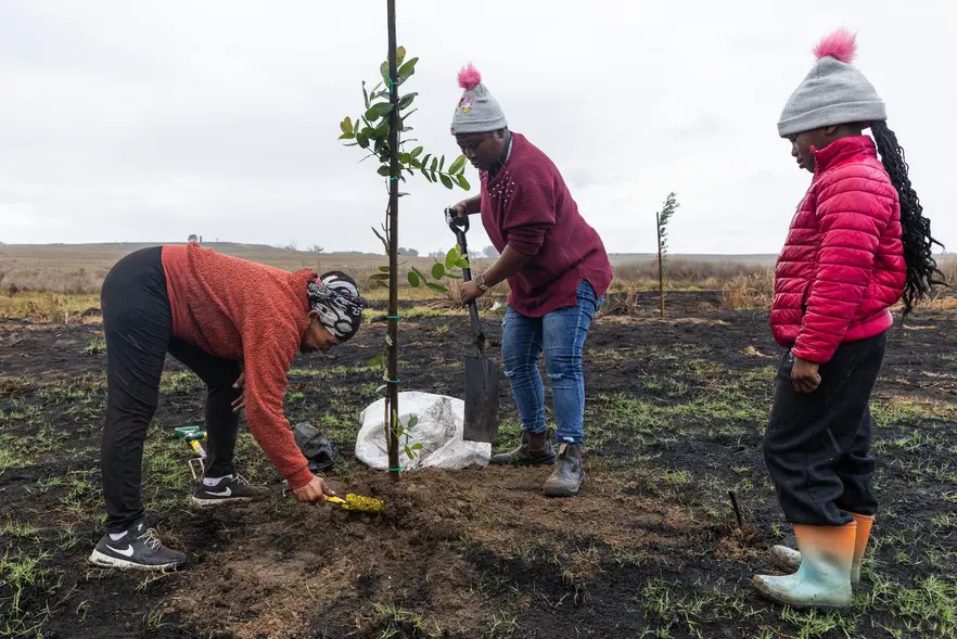 Anne Baard and Antoinette Seronne are residents who often volunteer for Mosselbank River Conservation Team projects. Picture: Ashraf Hendricks/@GroundUp News Anne Baard and Antoinette Seronne are residents who often volunteer for Mosselbank River Conservation Team projects. Picture: Ashraf Hendricks/@GroundUp News