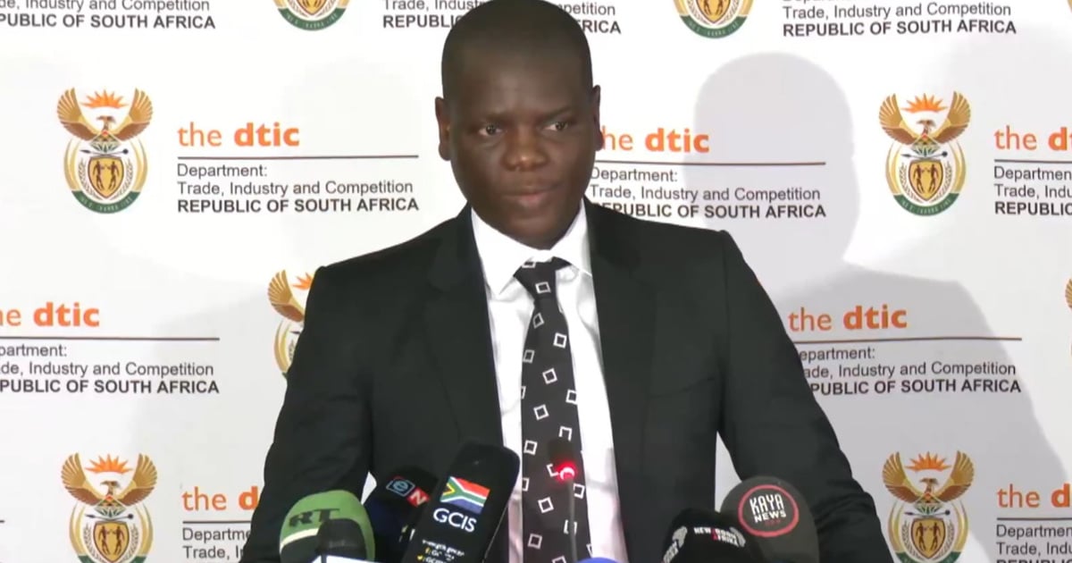 Lamola raises concern over 'unilateral' US visa restrictions on SA - EWN