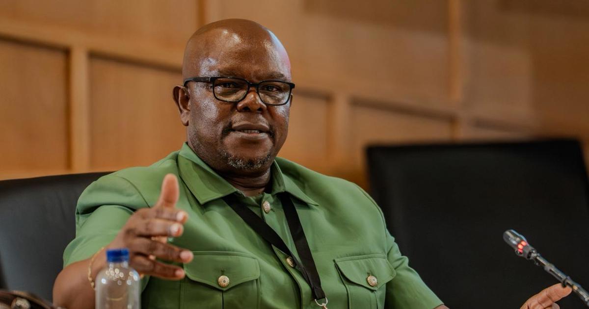 Madlanga Commission: Senona denies assisting 'Cat' Matlala to secure R360m ...