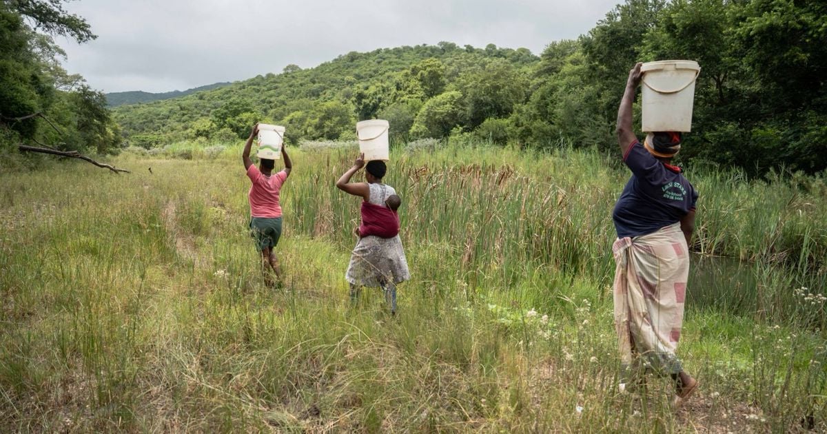 SA secures R3.2bn NDB loan for Limpopo bulk water project - EWN