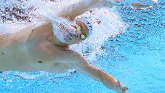 Struggling' Marchand targets second gold at swimming worlds Struggling' Marchand targets second gold at swimming worlds