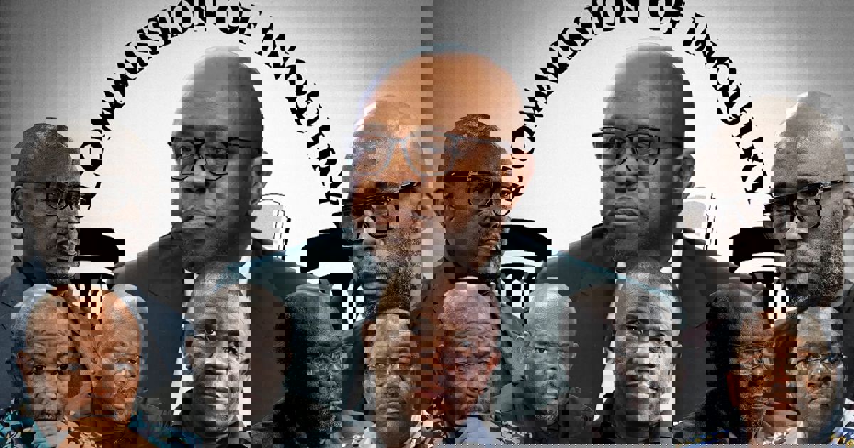 Live Blog Madlanga Commission National Police Commissioner Fannie