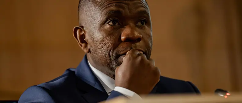 South Africa vs Australia in Cape Town: 'Boklash is coming!' - Tim ...