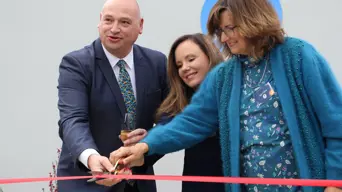 New hope for African Penguin population New hope for African Penguin population